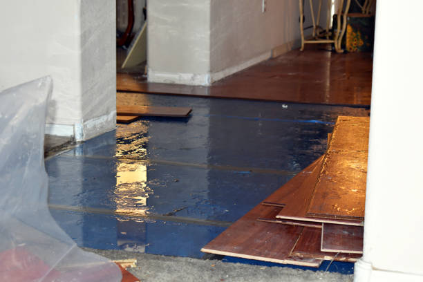 Professional Flood Cleanup technician working in Bloomington, IL